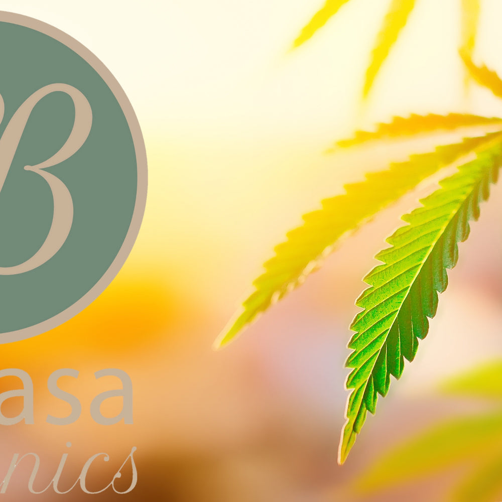 Experience Natural Healing with Encasa Botanics Full Spectrum CBD Oil